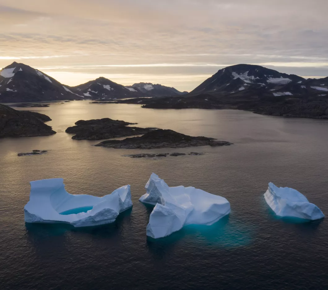 Arctic Council Russia