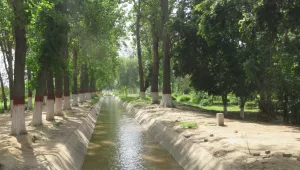 irrigation canal