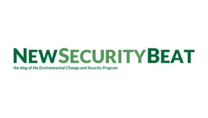 Masthead Logo - New Security Beat