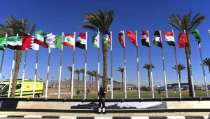 Arab League Flags