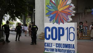 A sign in front of a hotel announces the COP16 United Nations biodiversity conference.