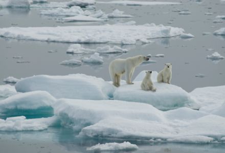 Climate Policy and Politics: Covering Conflict in the Capital, Copenhagen and Beyond