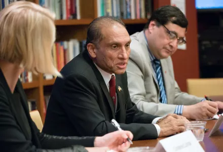 Cluver, Chaudhry and Najam