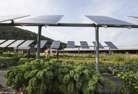 NREL researchers survey a photovoltaic dual-use research project, simultaneously growing crops under PV Arrays 